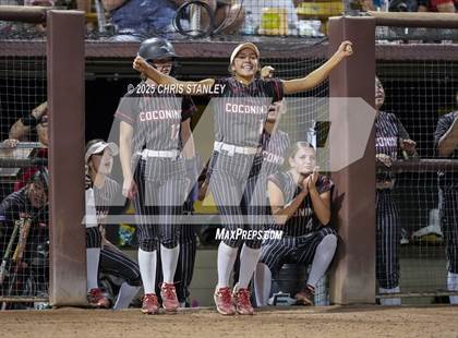 Thumbnail 3 in Salpointe Catholic vs. Coconino (AIA 4A Final) photogallery.