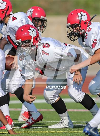 Thumbnail 1 in Elsinore Tigers vs Beckman Patriots photogallery.