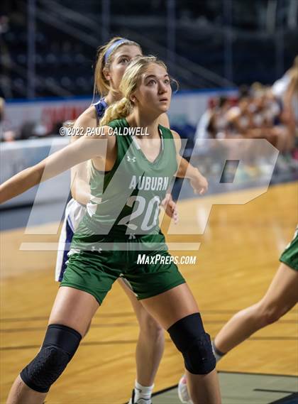 Thumbnail 1 in Rogers @ Auburn (Kings Showcase) photogallery.