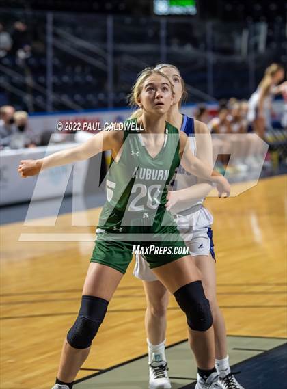 Thumbnail 2 in Rogers @ Auburn (Kings Showcase) photogallery.