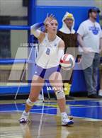 Photo from the gallery "Peaster @ Brock"