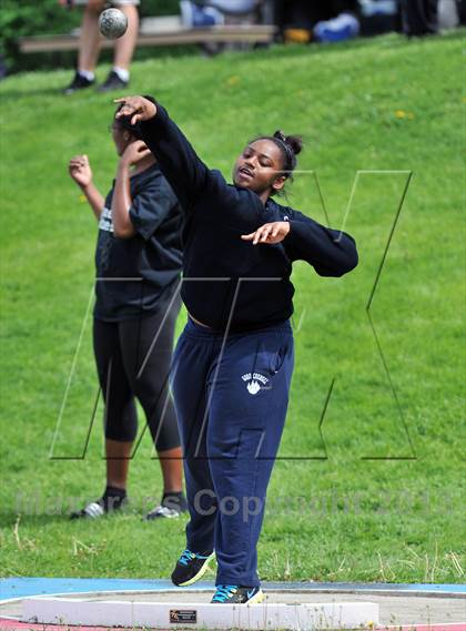 Thumbnail 2 in Loucks Games  photogallery.