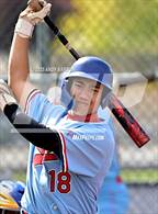 Photo from the gallery "Reno @ Reed"