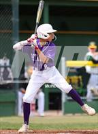 Photo from the gallery "Petaluma @ Casa Grande"