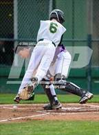 Photo from the gallery "Petaluma @ Casa Grande"