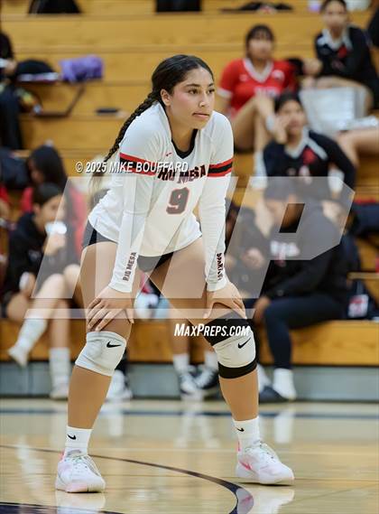 Thumbnail 1 in Rio Mesa @ Dos Pueblos photogallery.