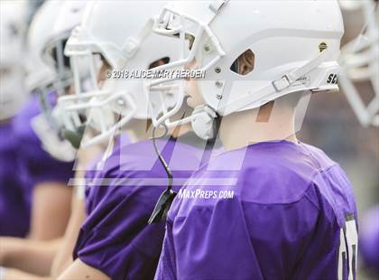 Thumbnail 2 in River Ridge vs Pasco (Preseason Game) photogallery.