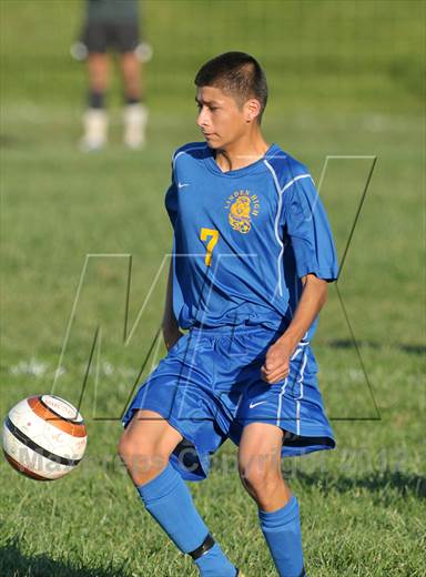 null - Photo 21
