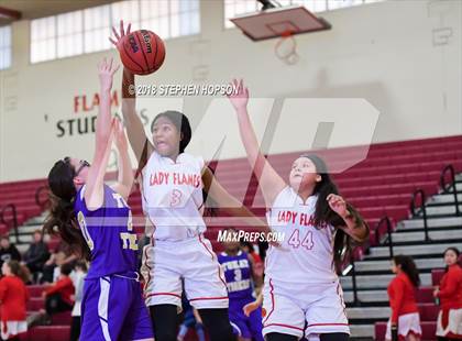 Thumbnail 2 in Tokay @ Lodi photogallery.