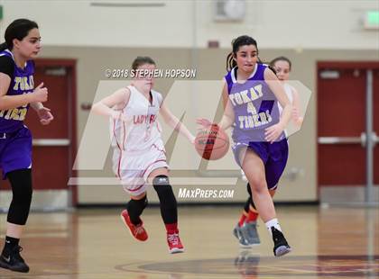 Thumbnail 1 in Tokay @ Lodi photogallery.