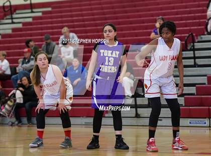 Thumbnail 1 in Tokay @ Lodi photogallery.
