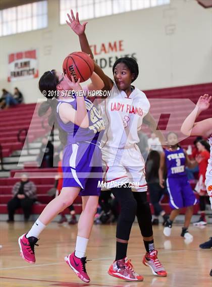 Thumbnail 1 in Tokay @ Lodi photogallery.