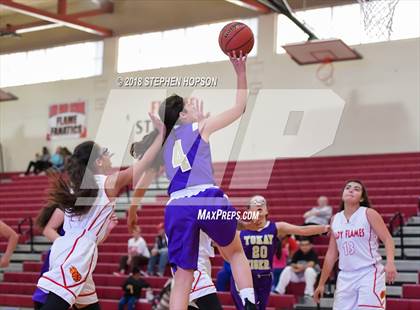 Thumbnail 1 in Tokay @ Lodi photogallery.
