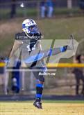 Photo from the gallery "Pine Forest @ Westover"