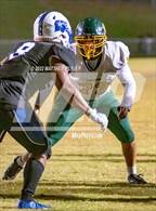 Photo from the gallery "Pine Forest @ Westover"