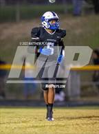 Photo from the gallery "Pine Forest @ Westover"