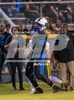 Photo from the gallery "Pine Forest @ Westover"
