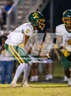 Photo from the gallery "Pine Forest @ Westover"