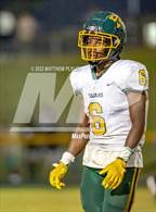 Photo from the gallery "Pine Forest @ Westover"