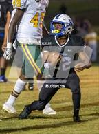 Photo from the gallery "Pine Forest @ Westover"