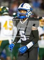 Photo from the gallery "Pine Forest @ Westover"