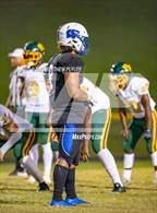 Photo from the gallery "Pine Forest @ Westover"
