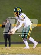 Photo from the gallery "Pine Forest @ Westover"