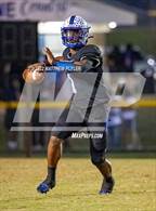 Photo from the gallery "Pine Forest @ Westover"