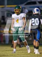 Photo from the gallery "Pine Forest @ Westover"