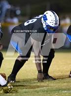 Photo from the gallery "Pine Forest @ Westover"