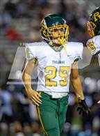 Photo from the gallery "Pine Forest @ Westover"