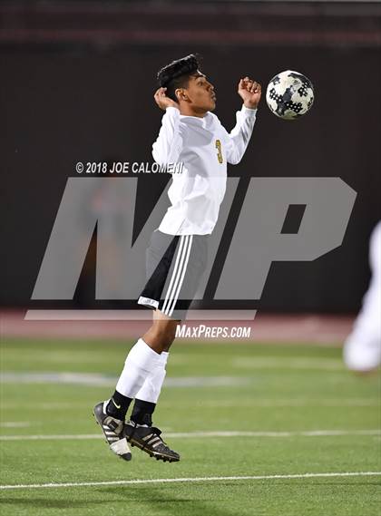 Thumbnail 2 in Edison [Thomas A.] vs Lanier [Sidney] photogallery.