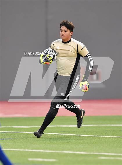 Thumbnail 2 in Edison [Thomas A.] vs Lanier [Sidney] photogallery.