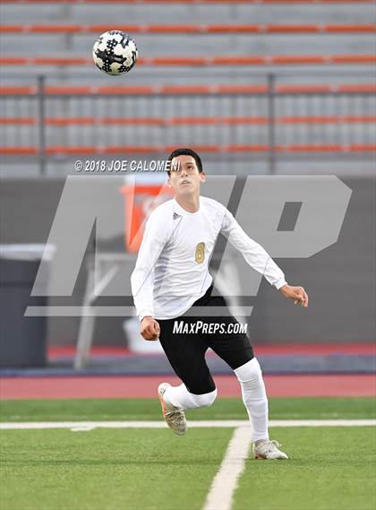 Thumbnail 1 in Edison [Thomas A.] vs Lanier [Sidney] photogallery.