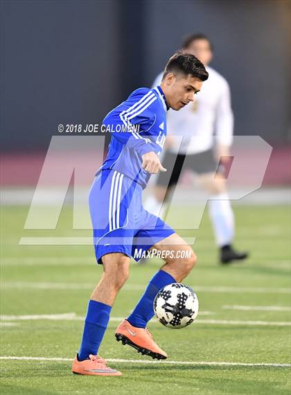 Thumbnail 2 in Edison [Thomas A.] vs Lanier [Sidney] photogallery.
