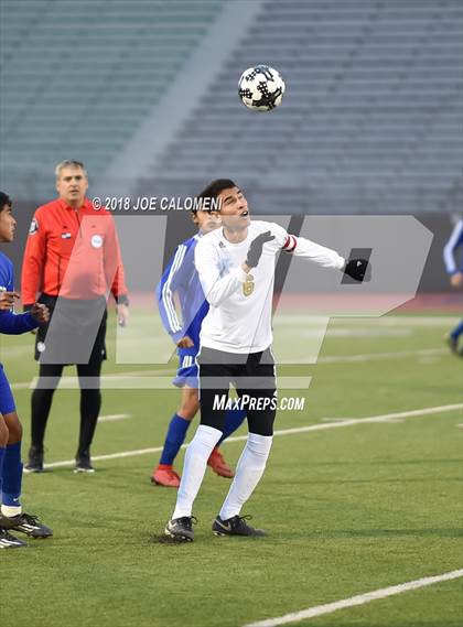Thumbnail 3 in Edison [Thomas A.] vs Lanier [Sidney] photogallery.
