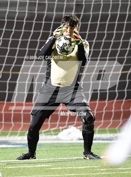 Thumbnail 2 in Edison [Thomas A.] vs Lanier [Sidney] photogallery.
