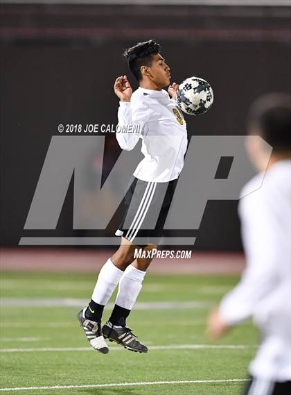 Thumbnail 3 in Edison [Thomas A.] vs Lanier [Sidney] photogallery.