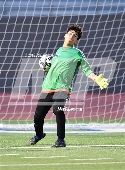 Thumbnail 1 in Edison [Thomas A.] vs Lanier [Sidney] photogallery.