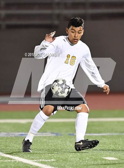 Thumbnail 3 in Edison [Thomas A.] vs Lanier [Sidney] photogallery.