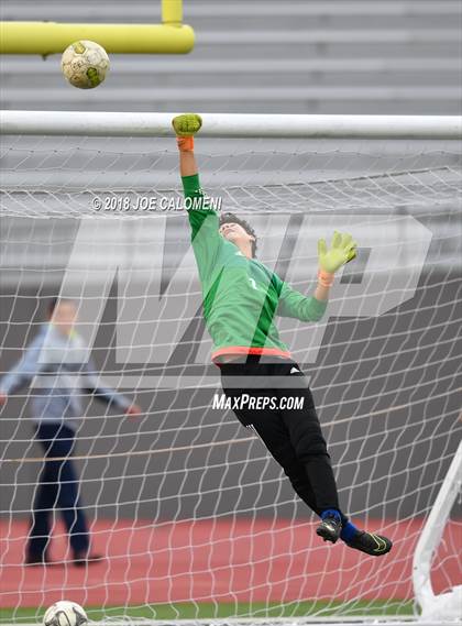 Thumbnail 1 in Edison [Thomas A.] vs Lanier [Sidney] photogallery.