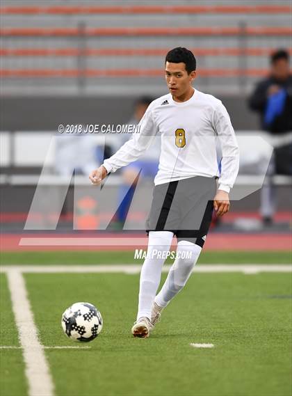 Thumbnail 1 in Edison [Thomas A.] vs Lanier [Sidney] photogallery.