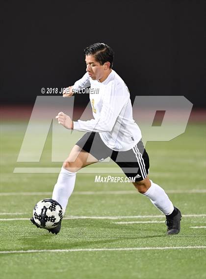 Thumbnail 2 in Edison [Thomas A.] vs Lanier [Sidney] photogallery.