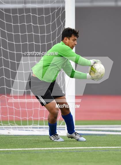 Thumbnail 2 in Edison [Thomas A.] vs Lanier [Sidney] photogallery.
