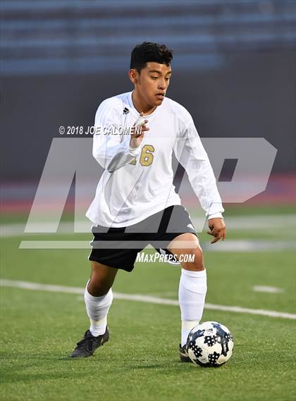 Thumbnail 3 in Edison [Thomas A.] vs Lanier [Sidney] photogallery.