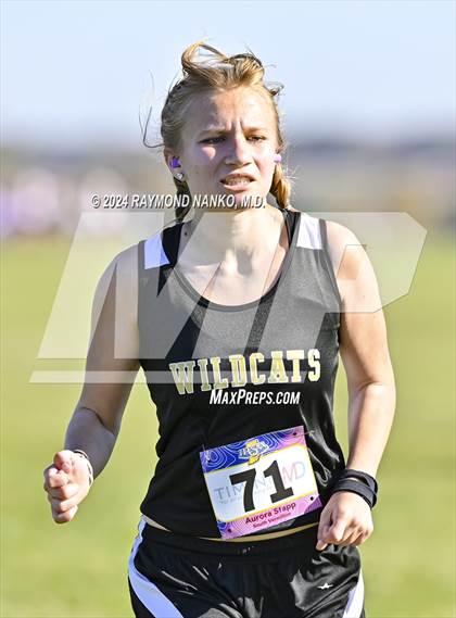 Thumbnail 2 in IHSAA Sectional 14 Terre Haute North Vigo Meet photogallery.