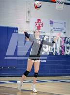 Photo from the gallery "Shelby County @ Jemison"