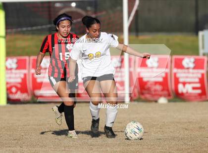 Thumbnail 3 in Lincolnton @ Newton-Conover photogallery.