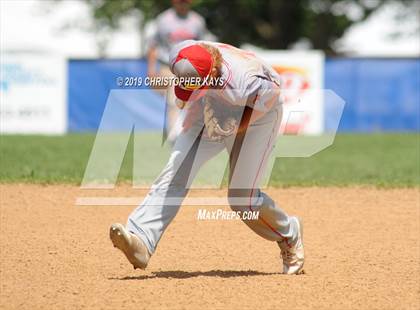 Thumbnail 1 in Harrisburg vs. Frankfort (IHSA 2A Regional Championship) photogallery.
