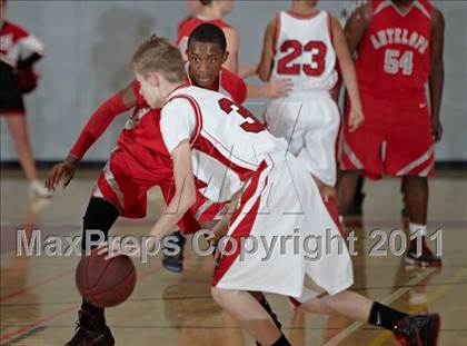 Thumbnail 2 in Antelope @ Cordova photogallery.